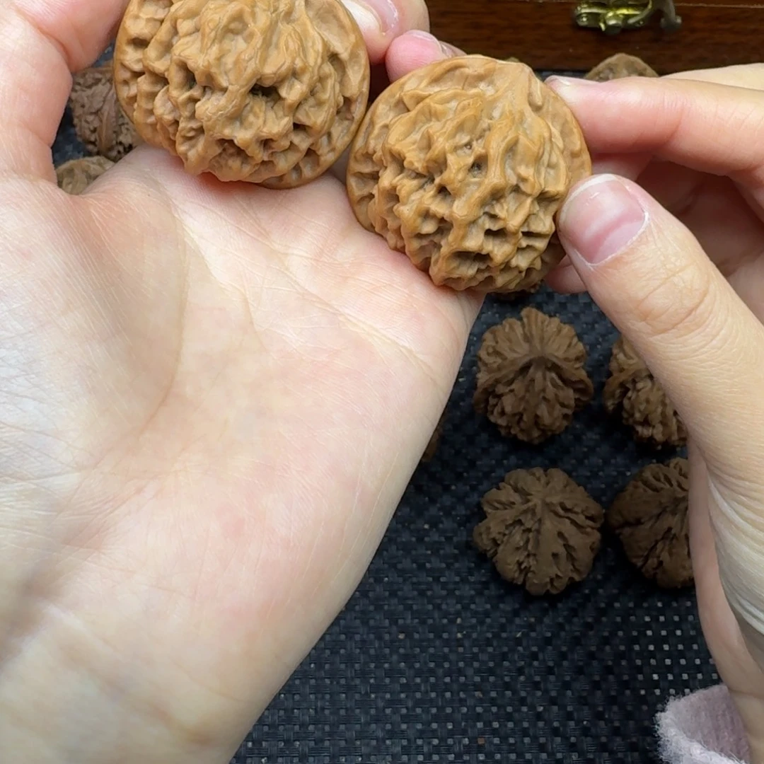 核桃42秦岭大花全品