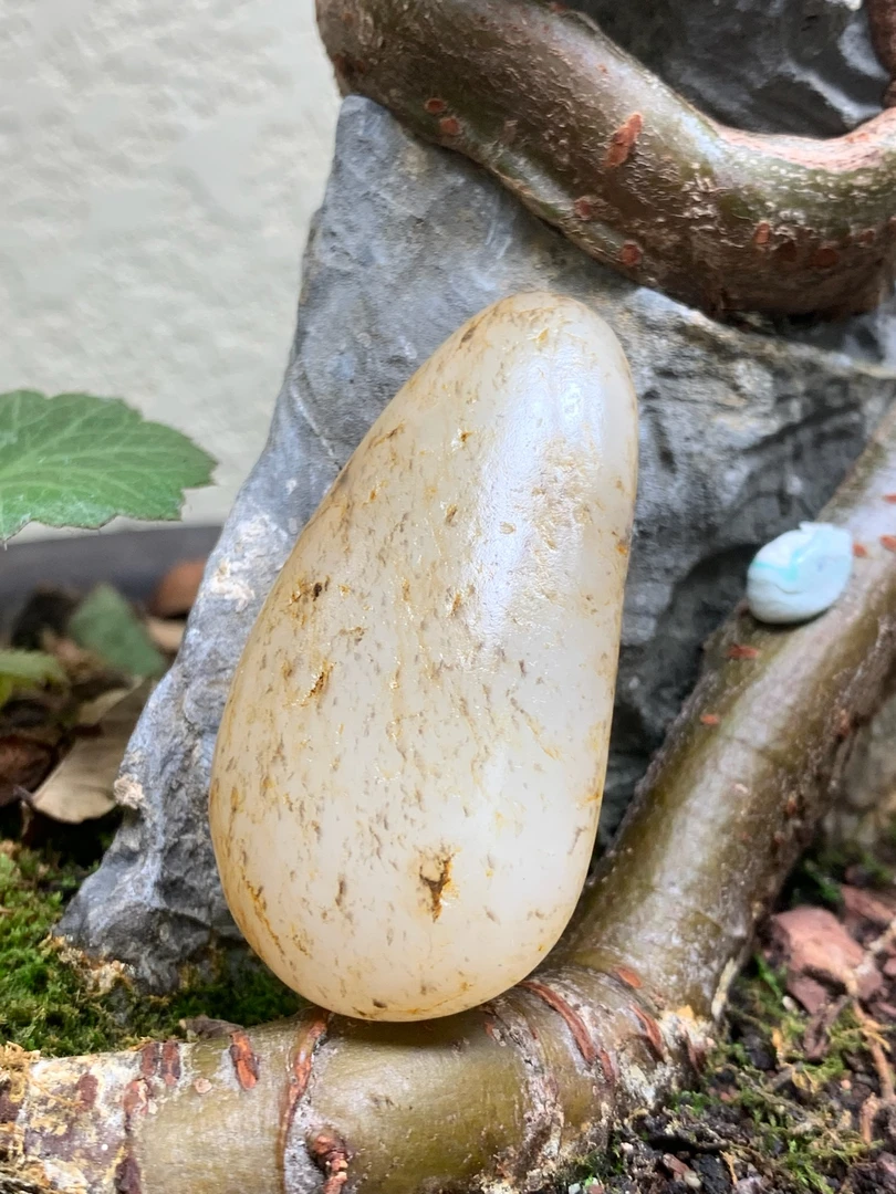 和田玉秋梨皮手把件，29克，50*25*15，货号02349，8088013