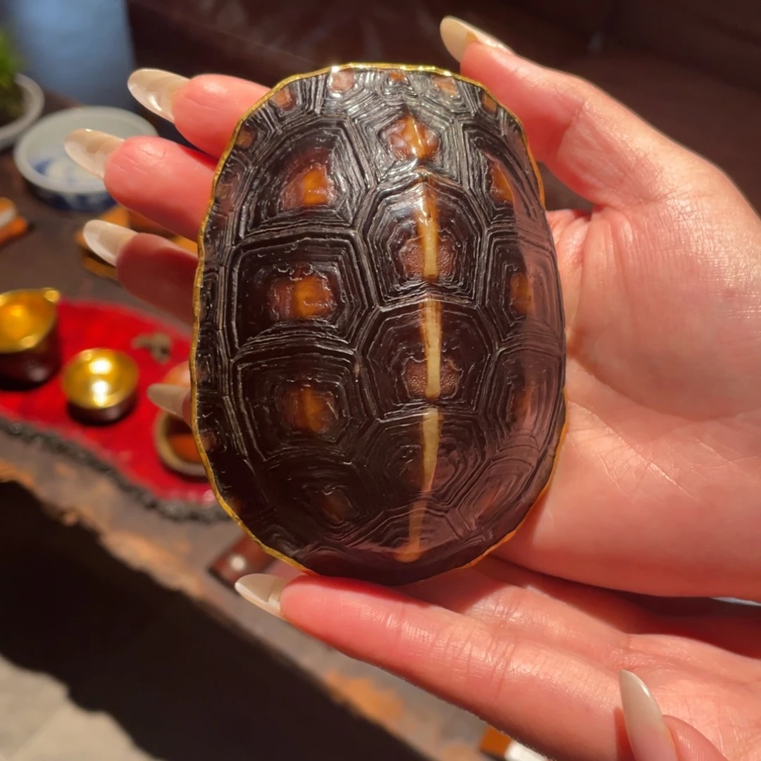 紫砂茶道业****荐金茶则竹