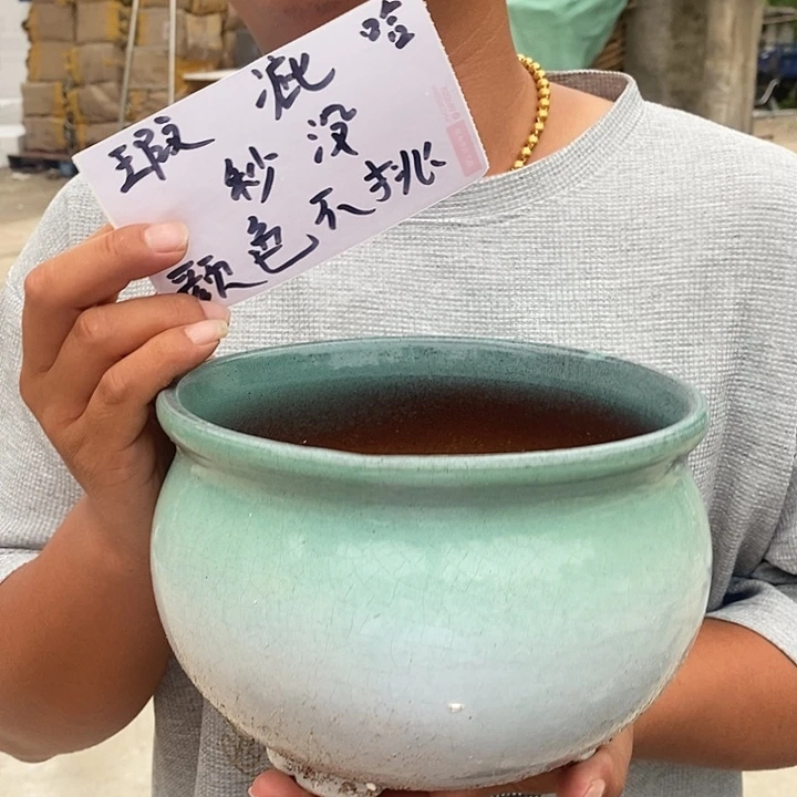 瑕疵颜色不挑瑕疵