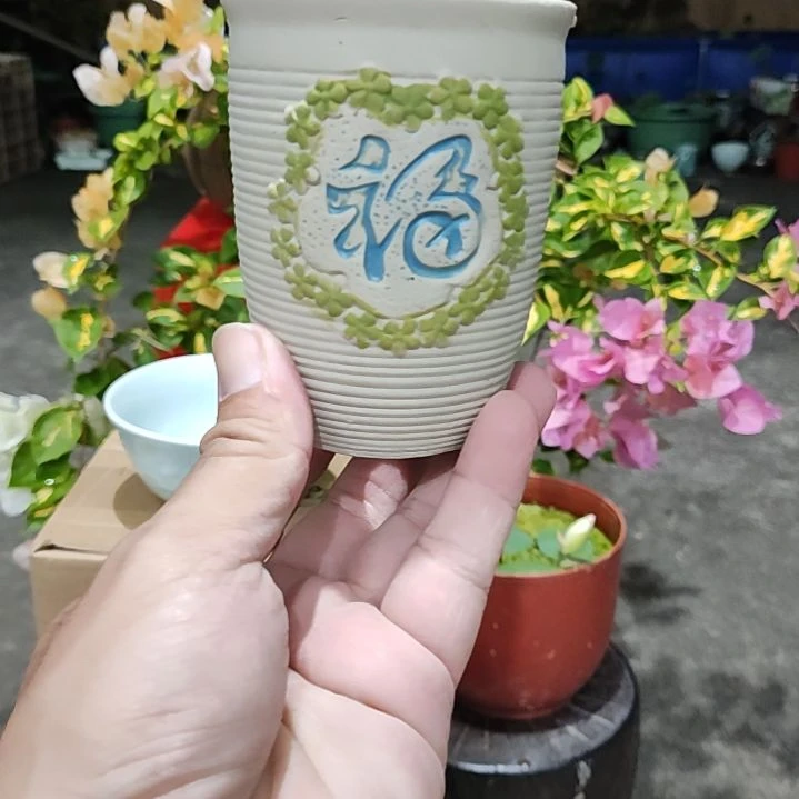 当前无花栽培后可以开花☆开播福利:蓝色福字小罐1个