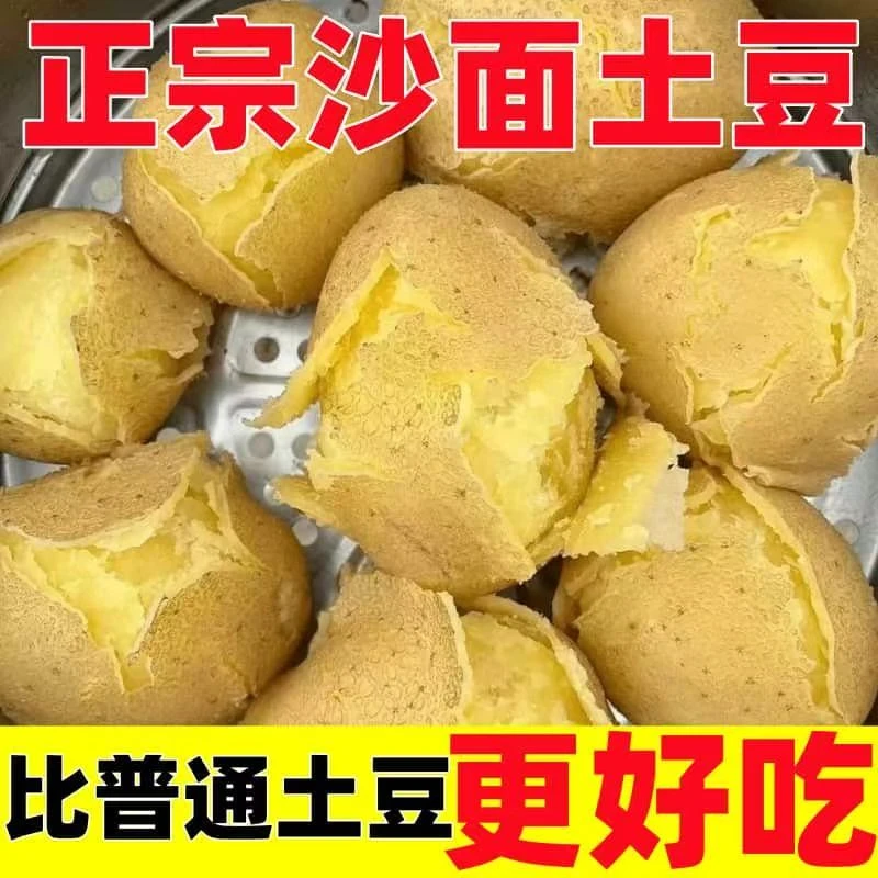 【带箱9.5-10斤】新土豆2025年东北黄皮黄心土豆洋芋马铃薯沙面
