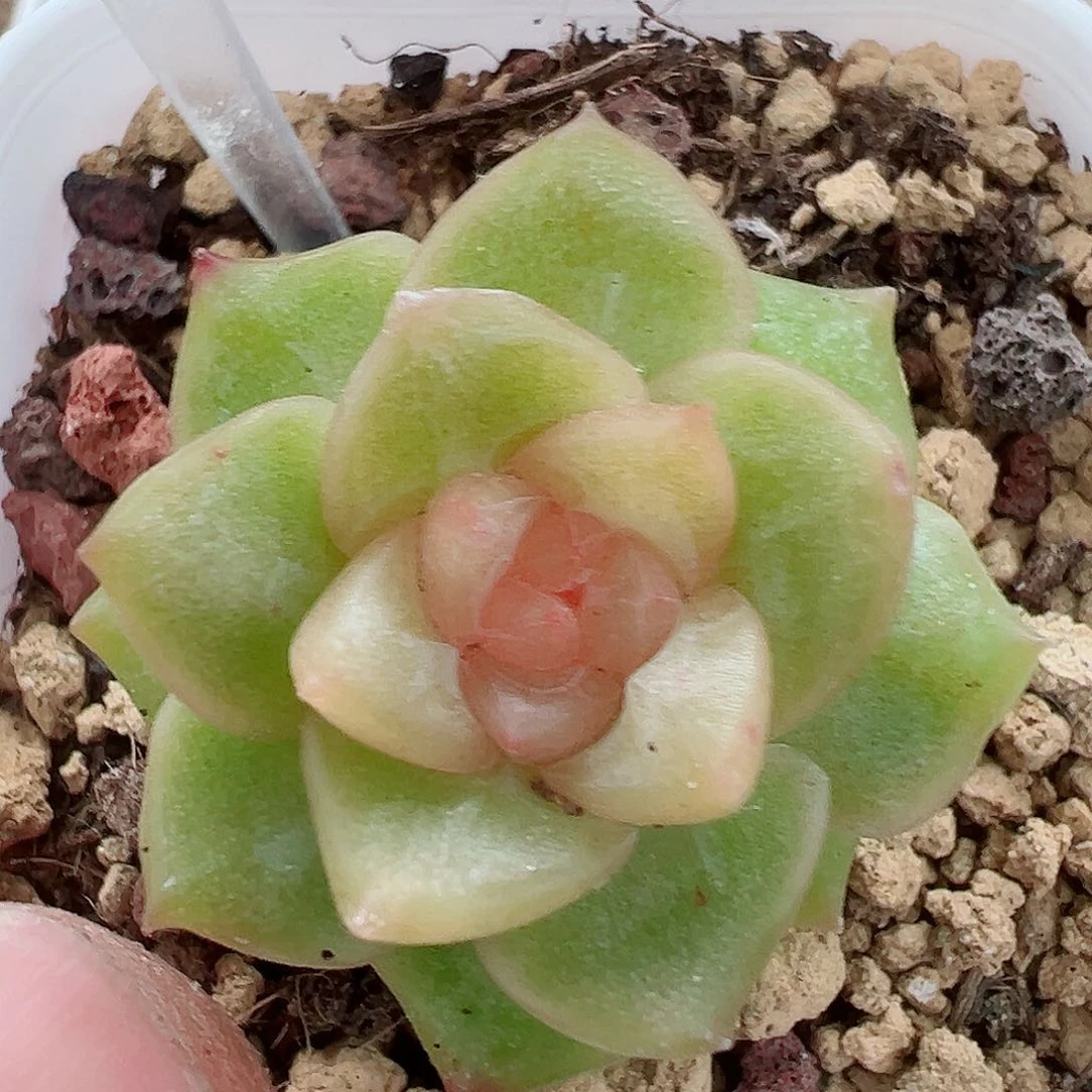 100哈哈哈哈哈哈哈哈