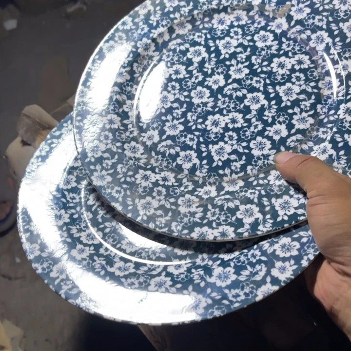 骨瓷釉中彩平盘两个