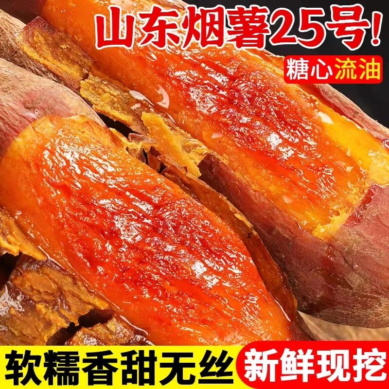 2025年新鲜现挖烟薯25号现挖现发流油流蜜烤红薯山芋
