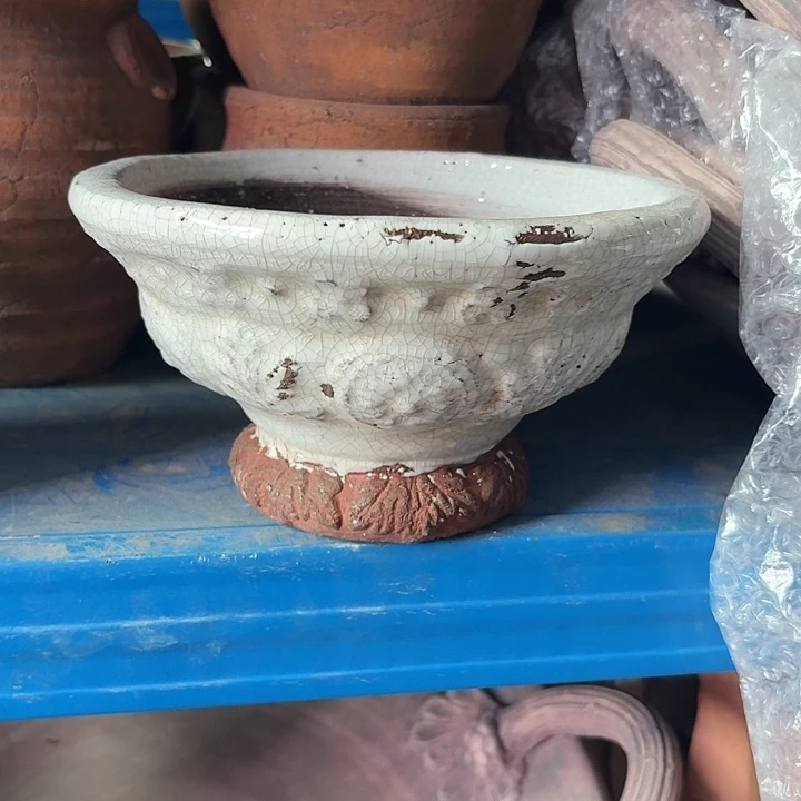 许纯的花房 白色碗盆