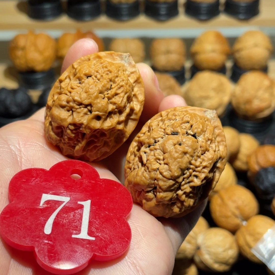 暴雪金蟾核桃35。