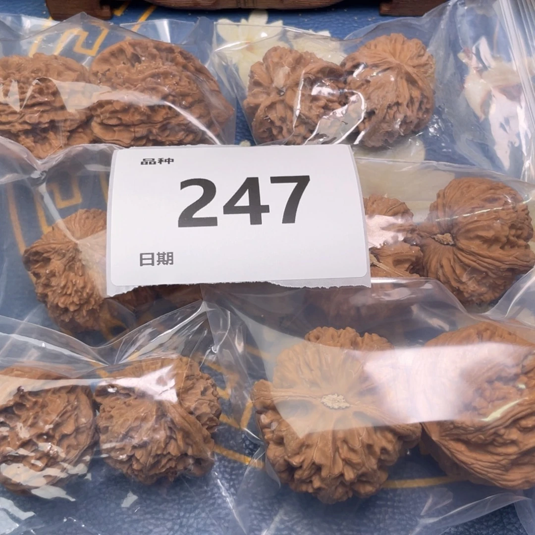 文玩核桃把件247号6对带练手粗筋