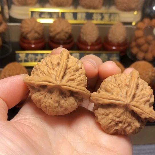 特价秒杀：野生三棱