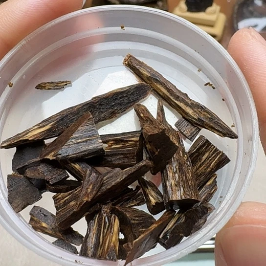 静水传*文莱文莱文莱文莱