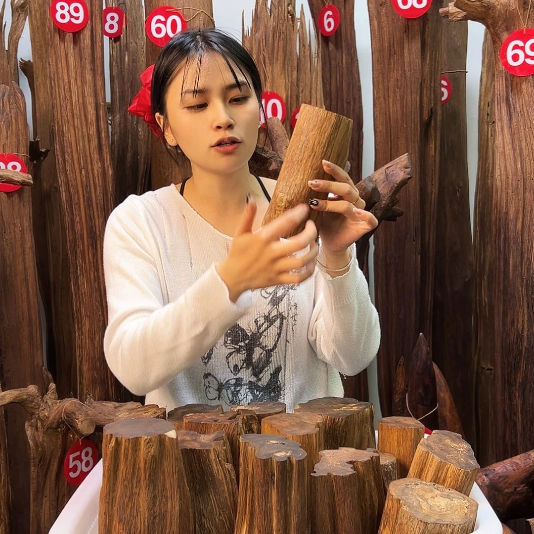 沉香沉香碎屑天然沉香原料香料