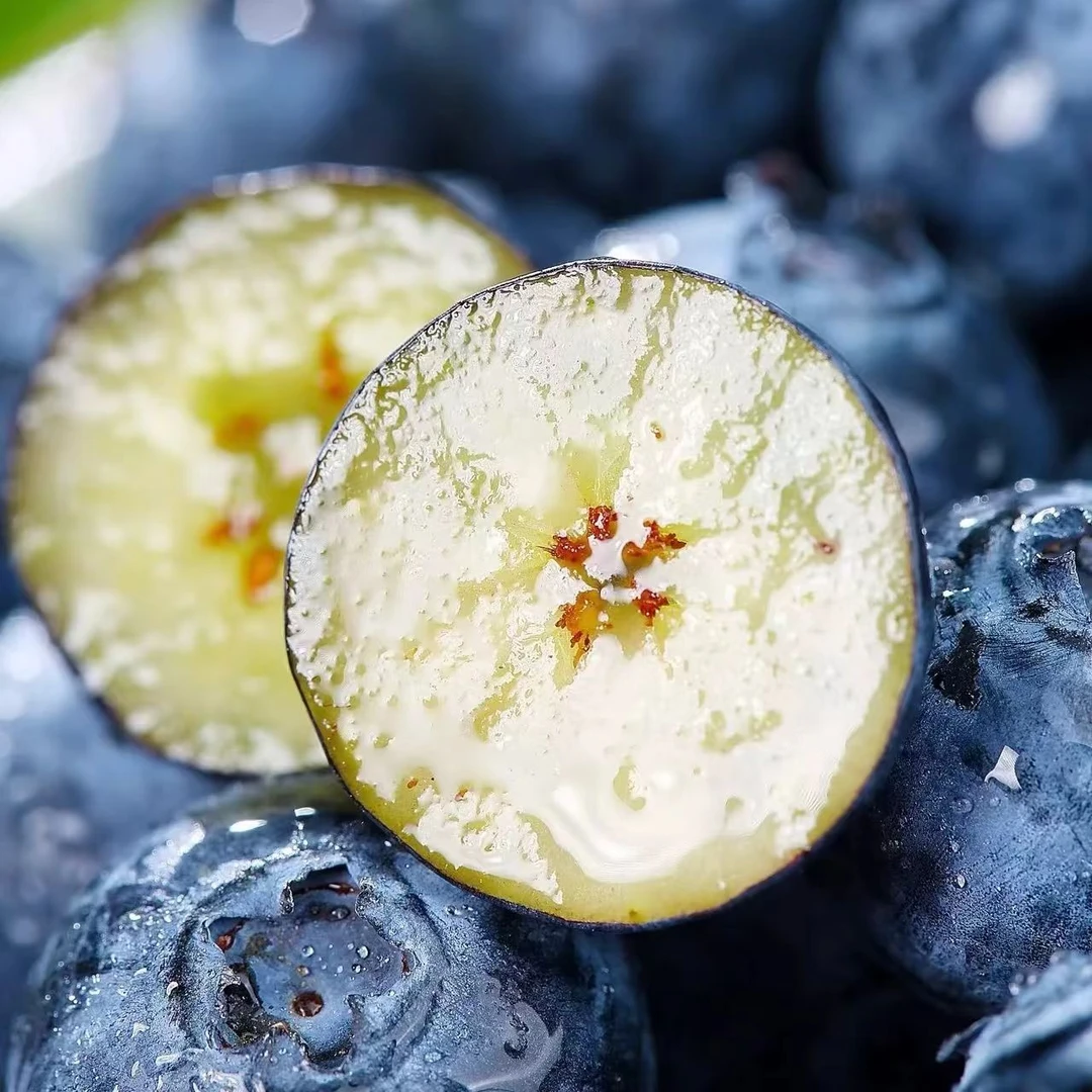 <15mm蓝莓小果 | 树熟现采 | 北纬40.32度 | 棚内直发 | 送货上门