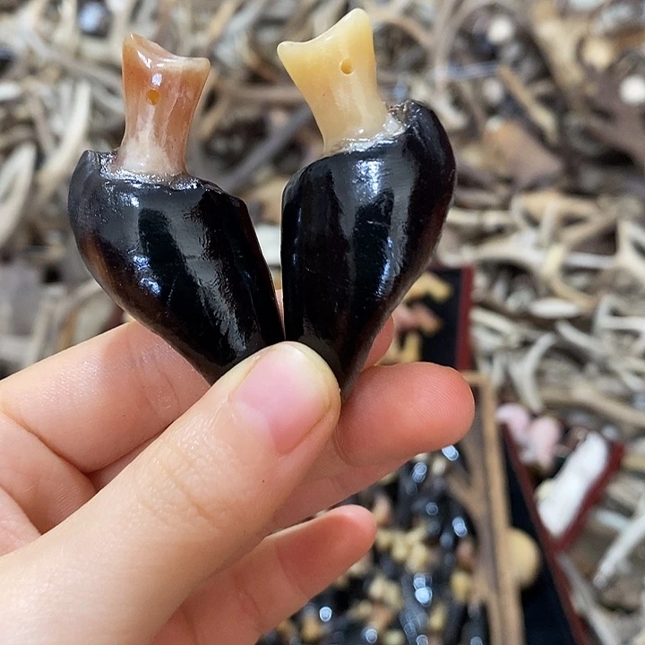 无非金属鹿鹿蹄鹿蹄鹿蹄鹿蹄