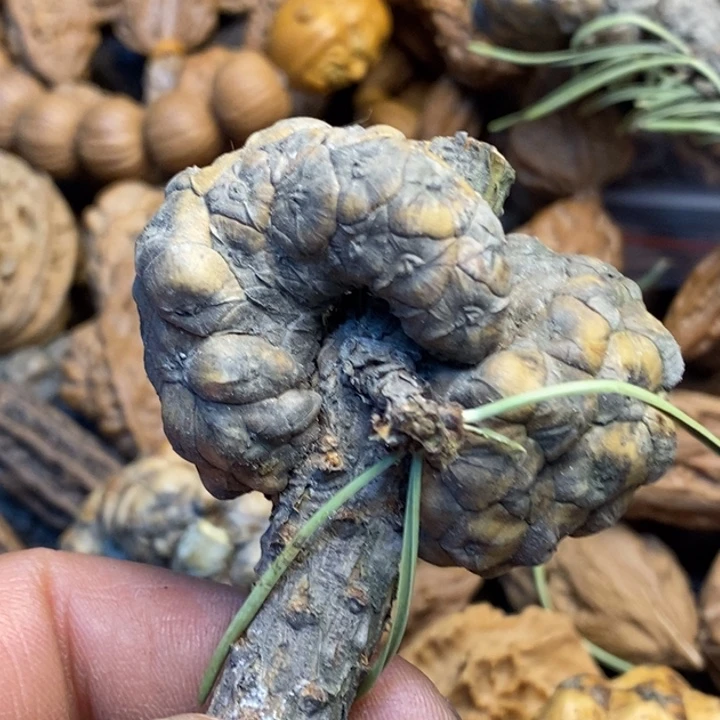 吊坠文玩核桃娜姐55