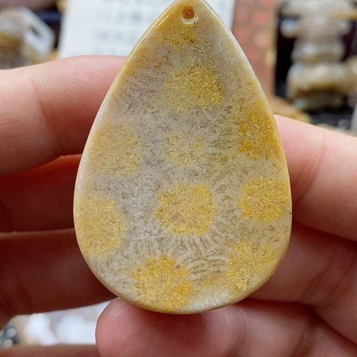 硅化珊瑚（珊瑚玉）颈饰未镶嵌