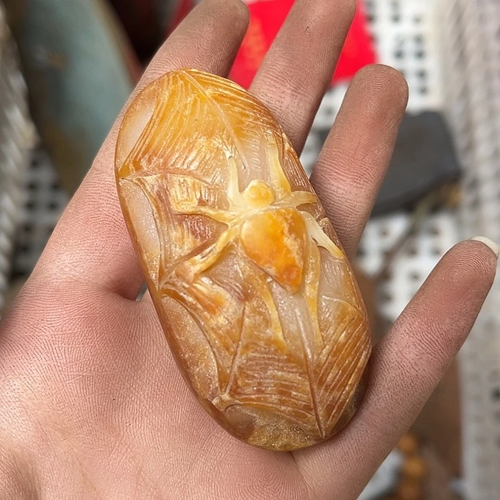 安***扬瓷片直播间看好在拍哦