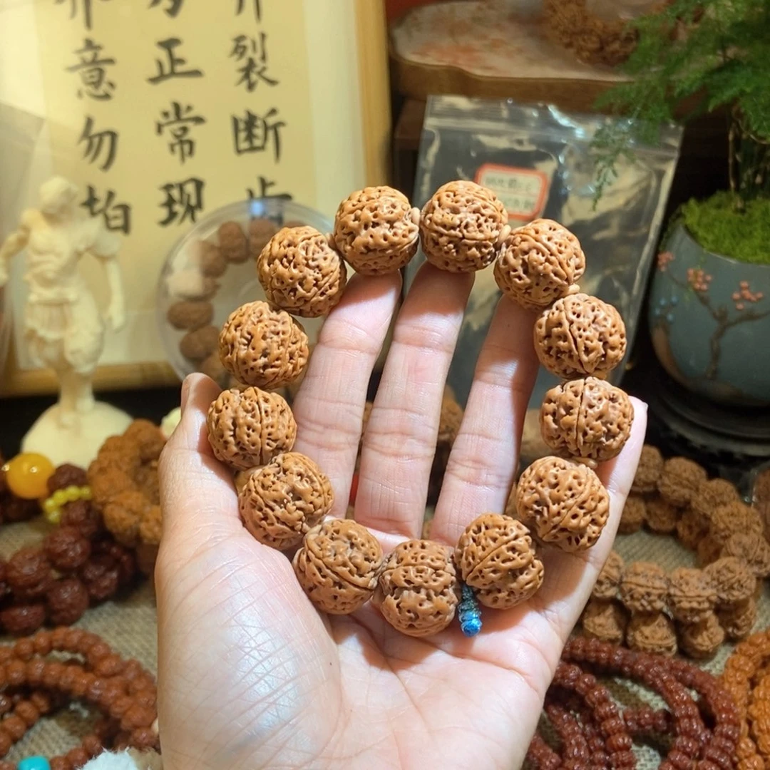 金刚菩提吊坠205原籽