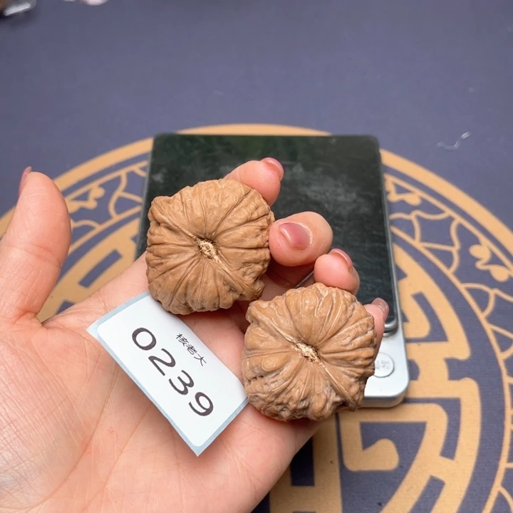 文玩核桃把件41南瓜墩 0239