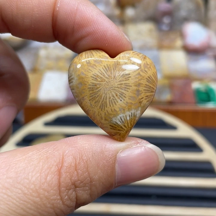 硅化玉未镶嵌颈饰k87