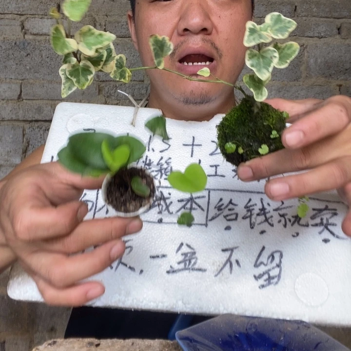 退款拉黑一物一拍321