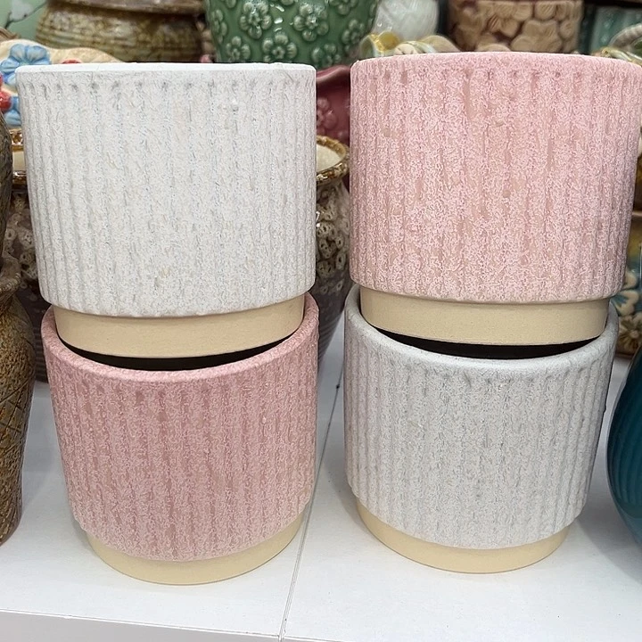 多肉植物陶瓷花盆