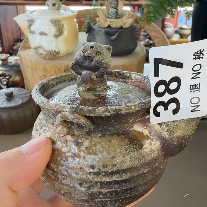 瓶柴烧福利洗了新品多多