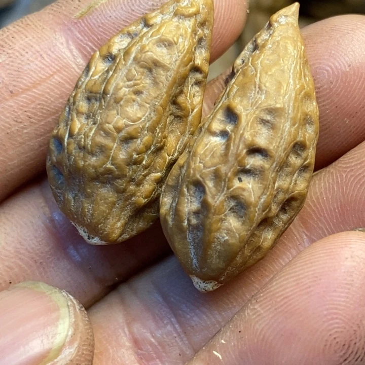 吊坠文玩核桃难喝191
