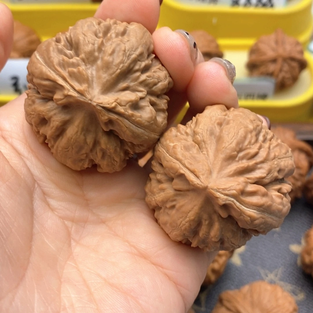 文玩核桃把件40尺霸王龙