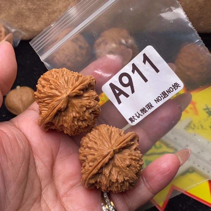 白狮子40尺911号瑕疵