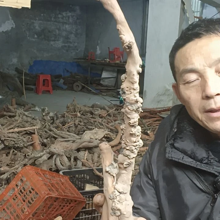 稳定木多****金贵州檬子木   铁马鞭   根艺  半成品