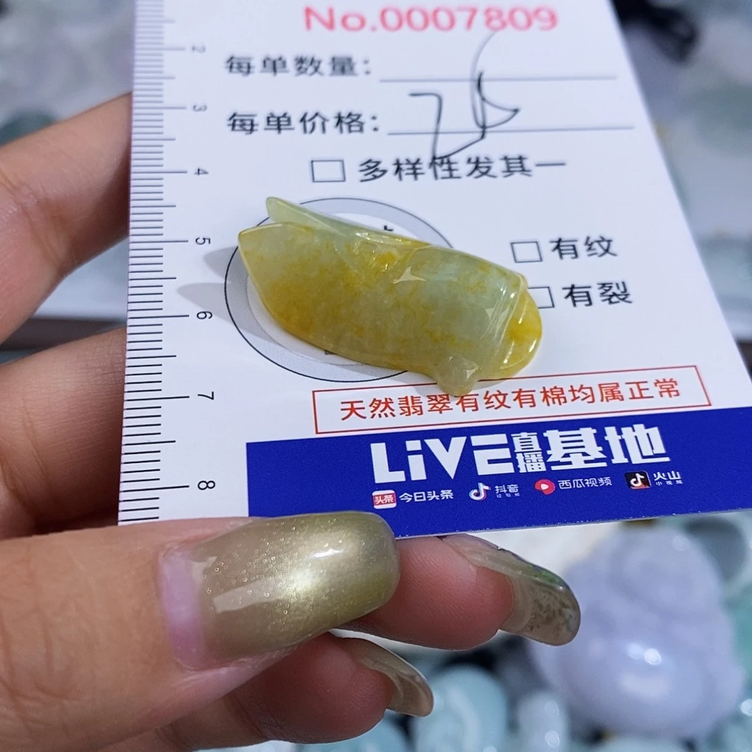 翡翠未镶嵌颈饰7809