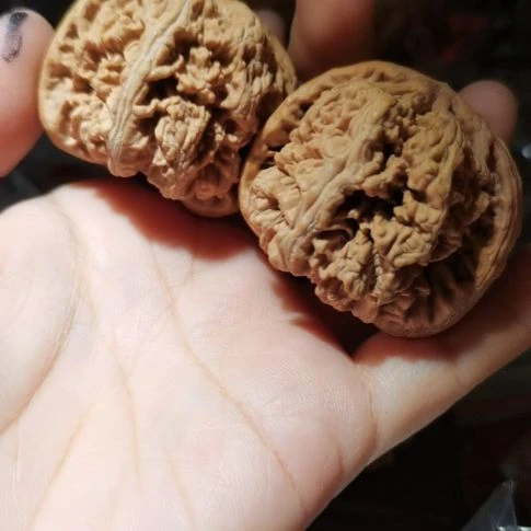 猴头核桃吊坠44粗筋