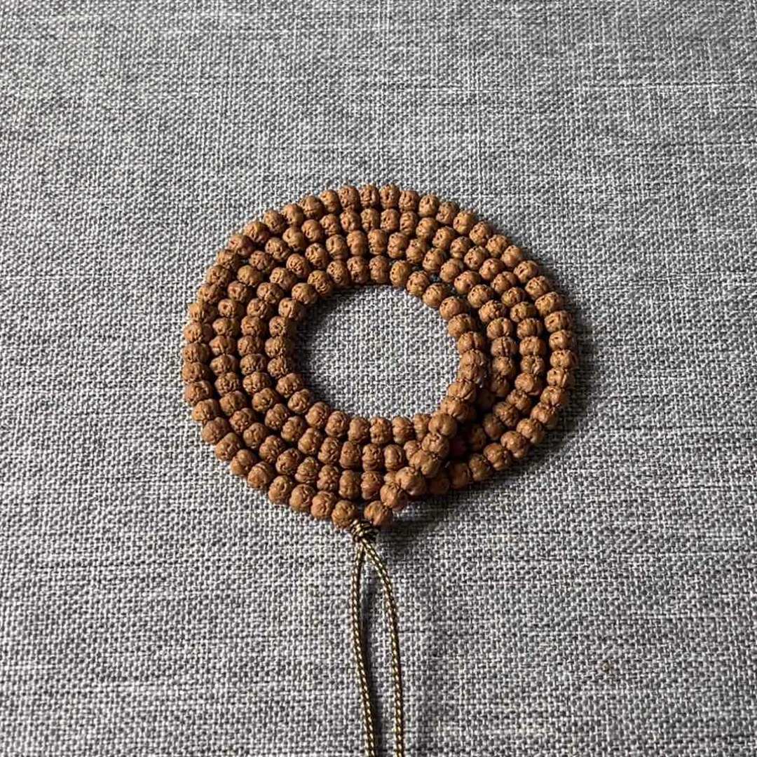 吊坠金刚菩提5.5mm五爪金龙