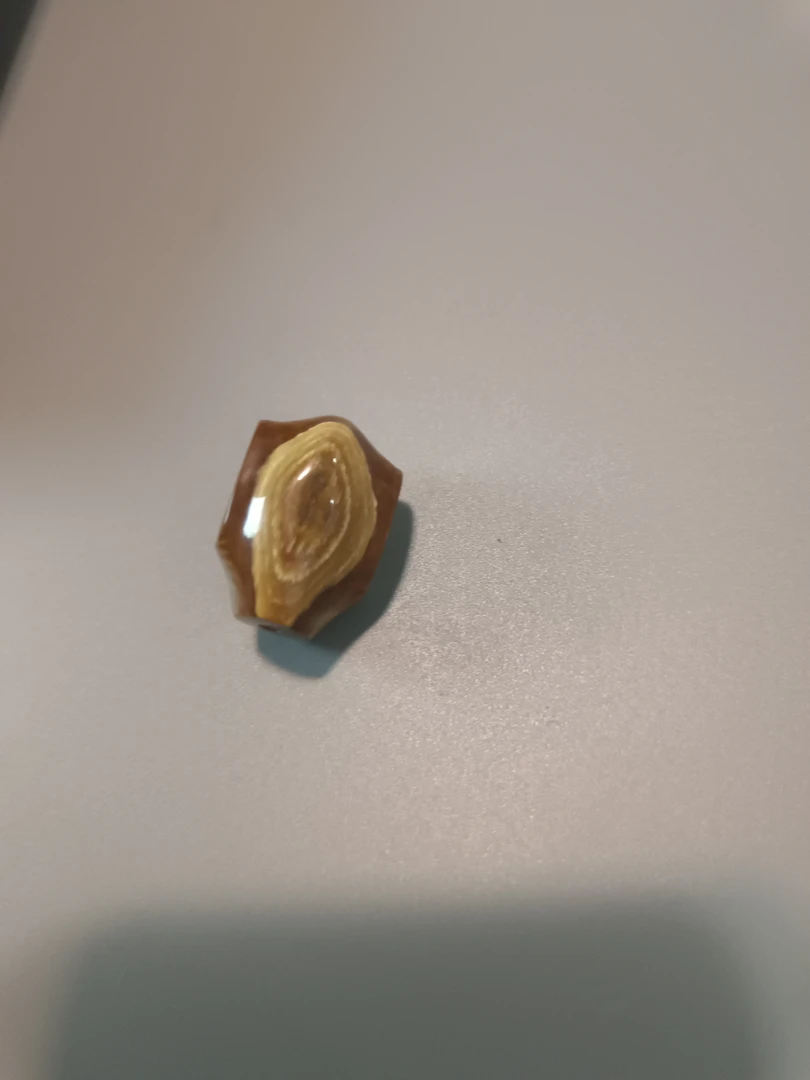 猛犸牙鲨鱼背三通对孔17