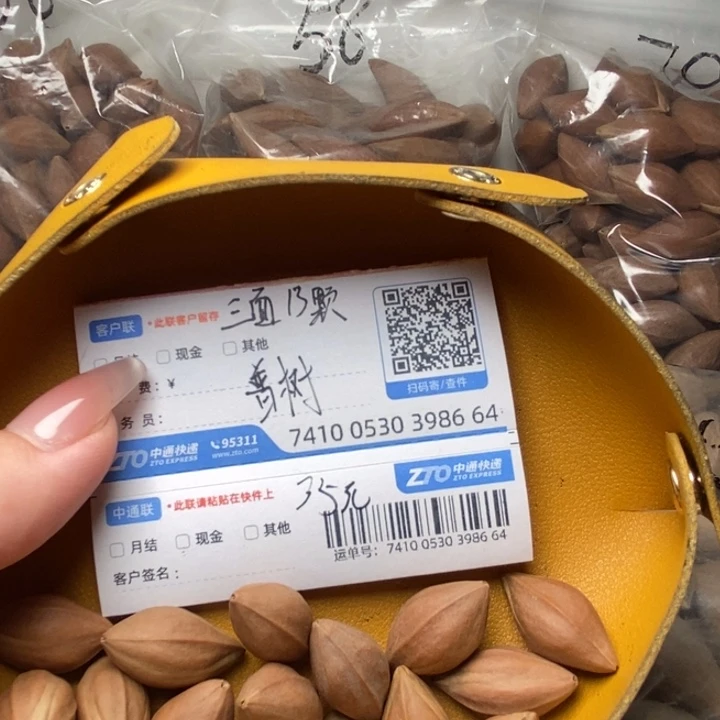 普***树橄榄核手串/手链三面佛13颗看好下单不退不换