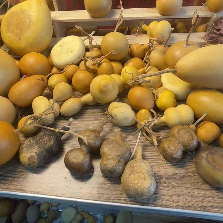 森***浅哈哈哈哈哈哈哈哈