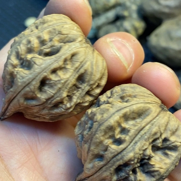 吊坠文玩核桃娜姐19