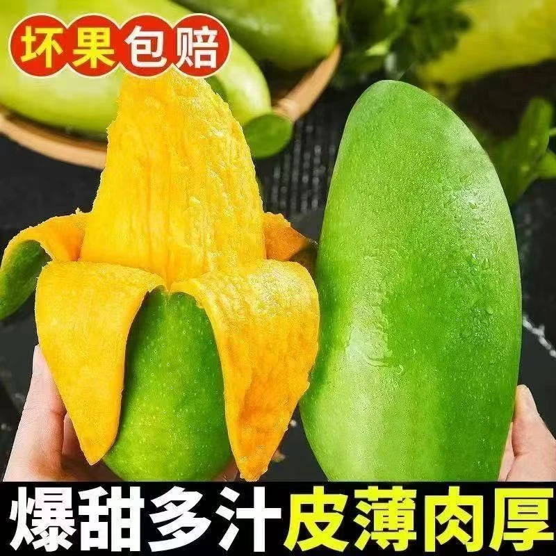 【农人四哥直播专用】正宗广西百色青皮大金煌芒果新鲜金黄大青芒