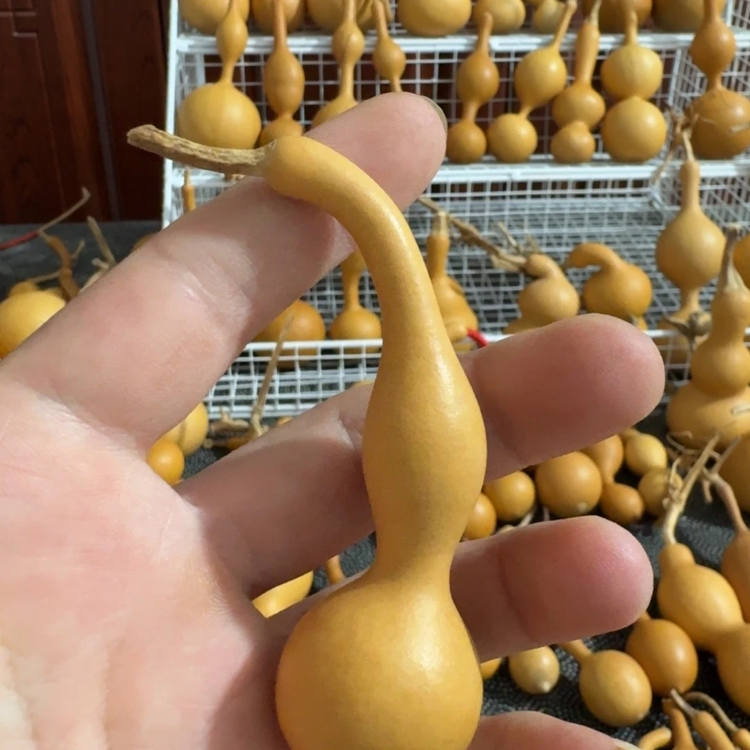 天***画精品蚂蚁葫芦系列