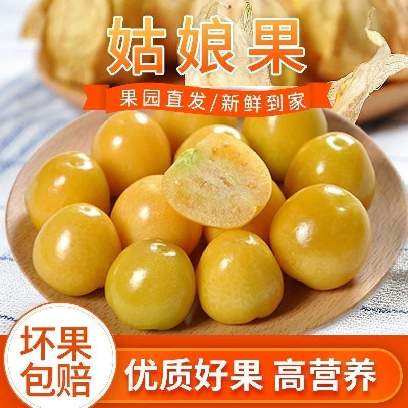 正宗小姑娘果东北黄金特产姑娘灯笼大果新鲜水果