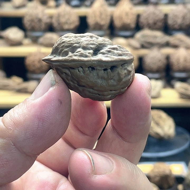 S***n文玩核桃把件小鸟