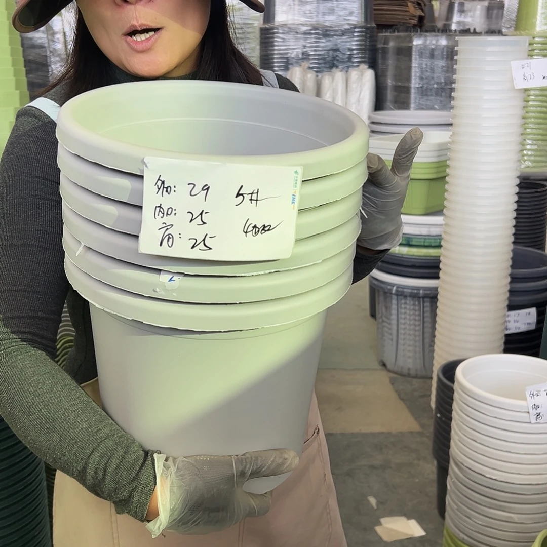 四季盆5#灰白色6个无托