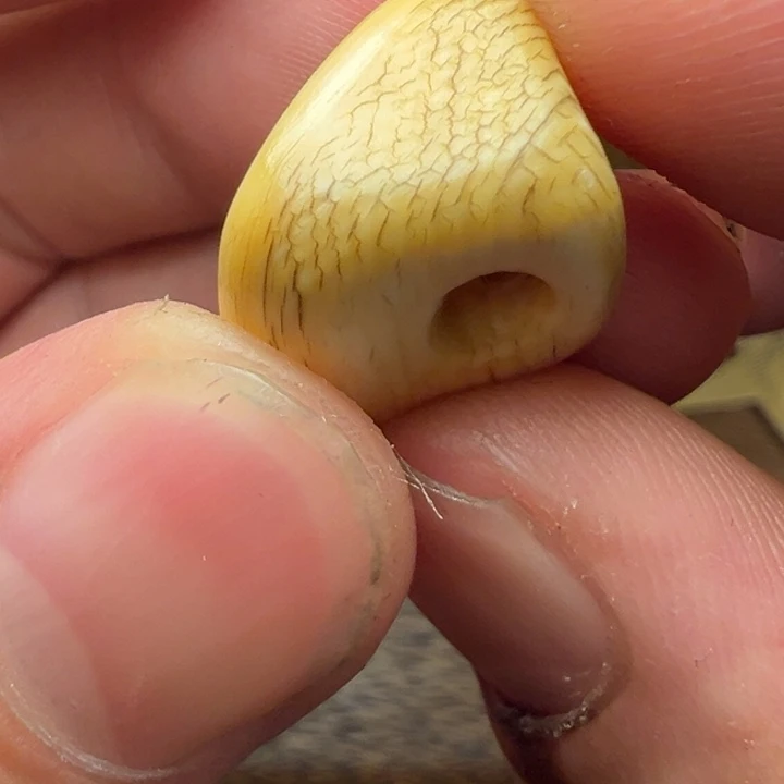 我们都是在这里看到的