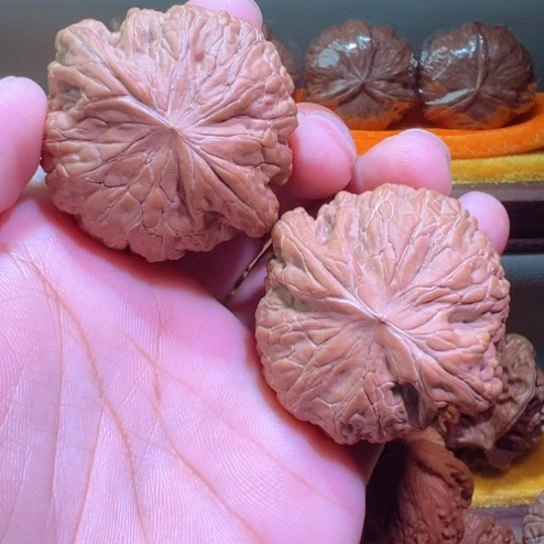46+边粗棱粗筋铁锤全品