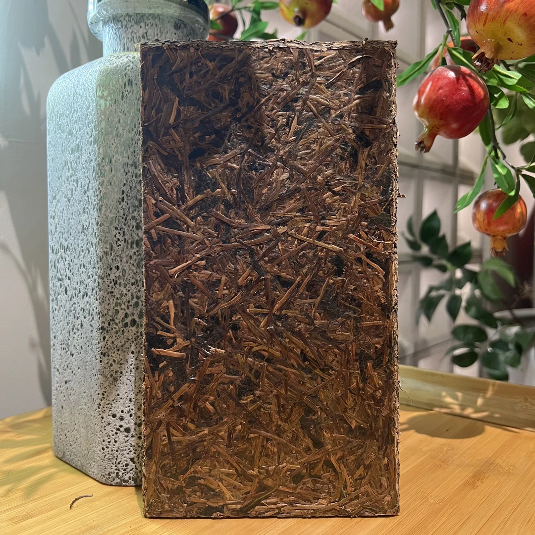 一盏雲—2020年茶树王梗茶500g