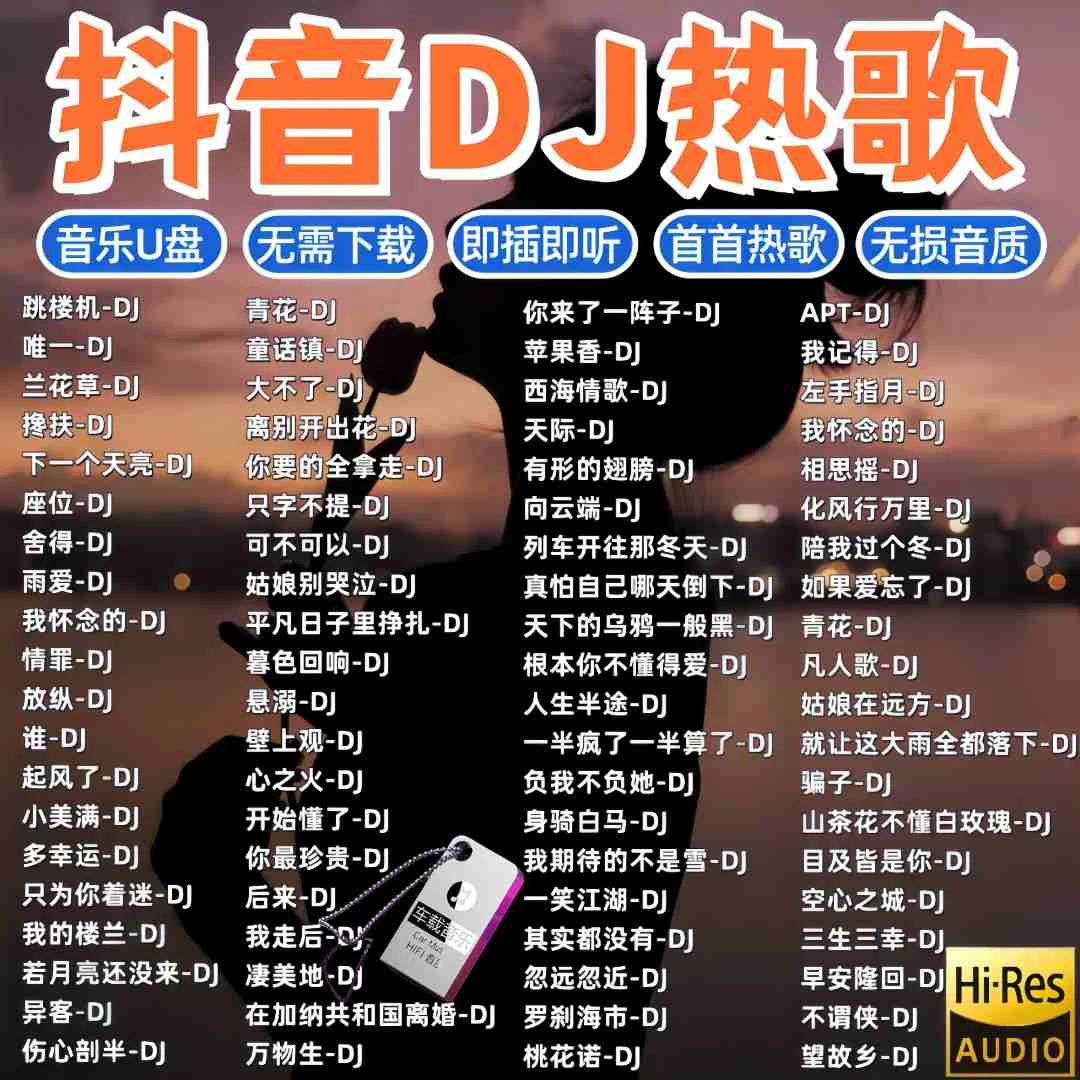 2025火爆经典歌曲DJ车载u盘热门流行中文DJ榜单无损音乐U盘MP3/4