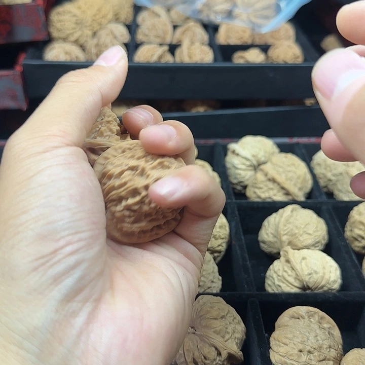 随***丶龙脊菩提吊坠啊啊啊啊啊啊野生6