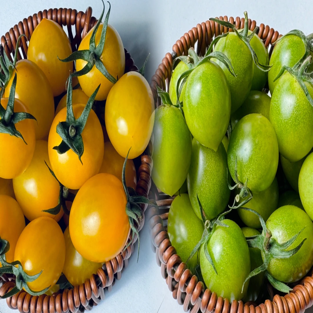 【顺丰包邮】寿光原产地直发双拼口感小番茄，清香脆甜，满口爆汁