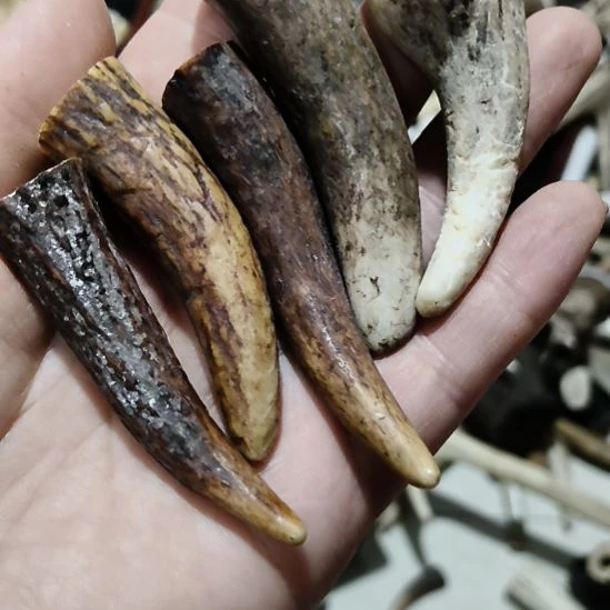 铁合金花岗石鹿角鹿角鹿角鹿角鹿角鹿角