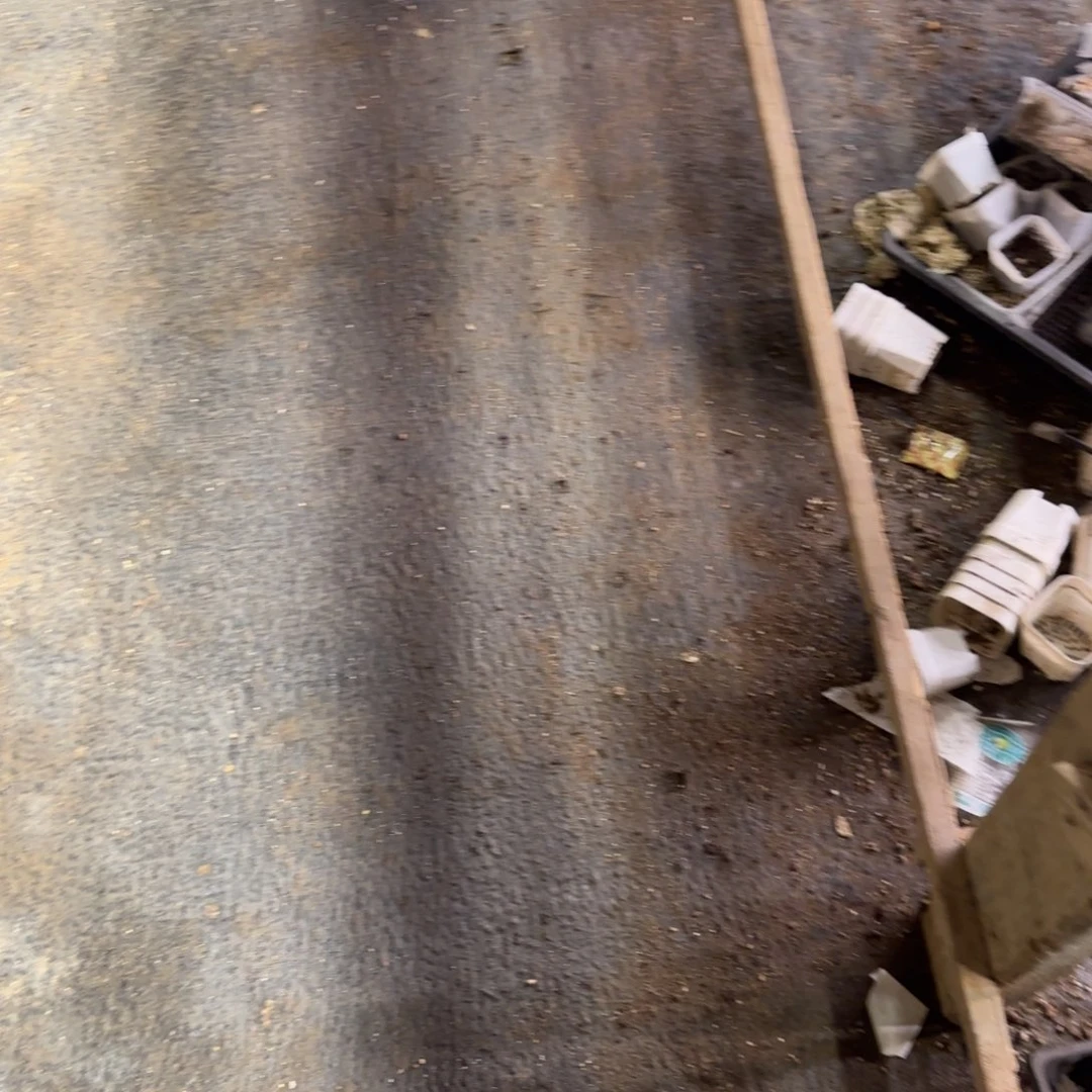 荔枝穴一个满25包邮